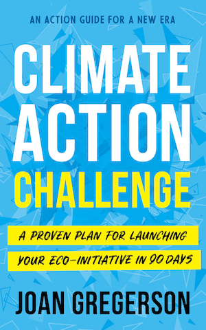 Book cover of Climate Action Challenge by Joan Gregerson.