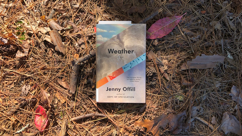 “Weather” by Jenny Offill: Summary & Analysis