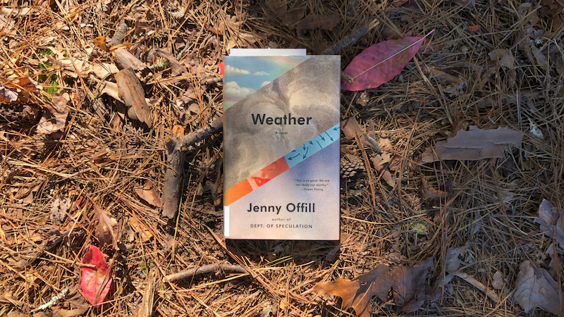 “Weather” by Jenny Offill: Summary & Analysis – Stories for Earth