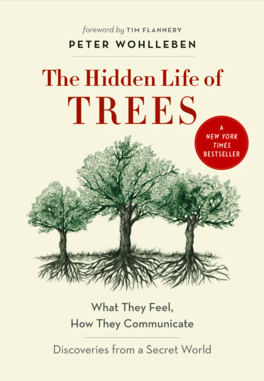 The book cover for The Hidden Life of Trees by Peter Wohlleben.