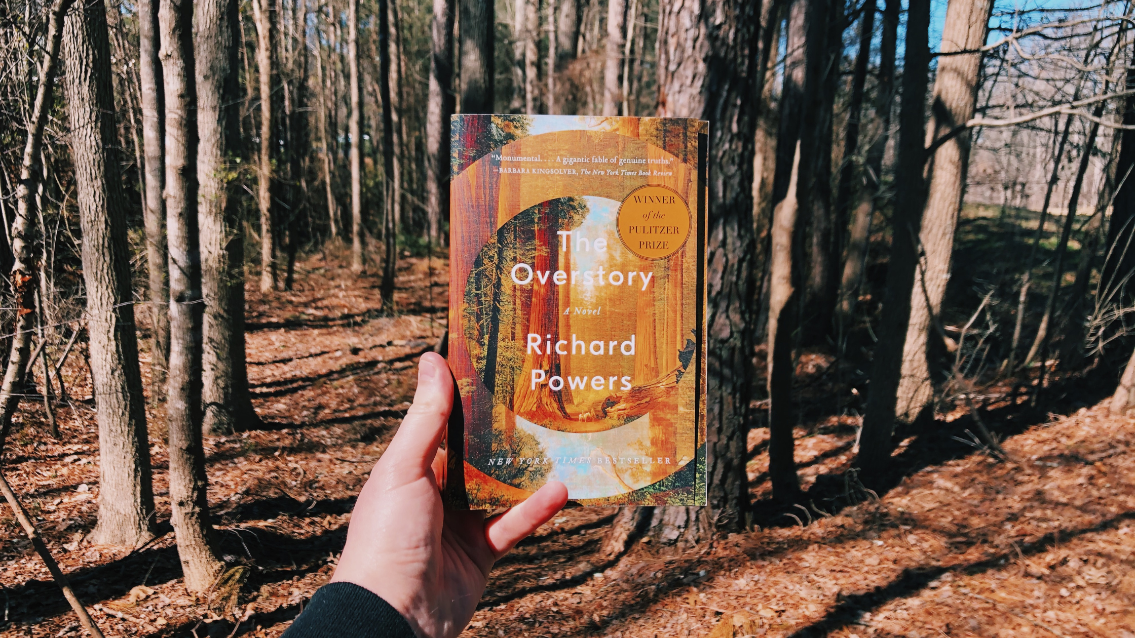 A photo of someone holding a copy of The Overstory in the woods.