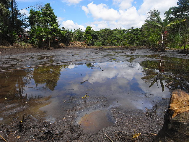 A photo of oil pollution in the Lago Agrio region in Ecuador.