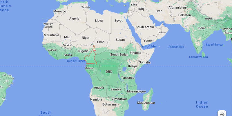 A picture of Cameroon on a world map.